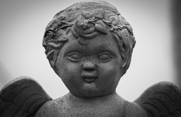 Dont Blink Digital Download