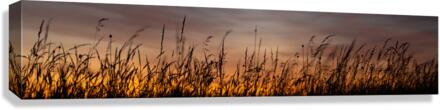 Horizons Melting Point Canvas Print