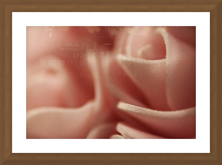 Subtle Elegance Picture Frame print