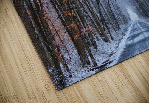 Winter Roads Chase2themac puzzle
