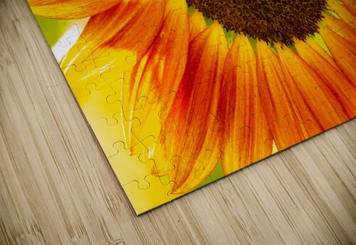 Sunflower Supremacy Chase2themac puzzle