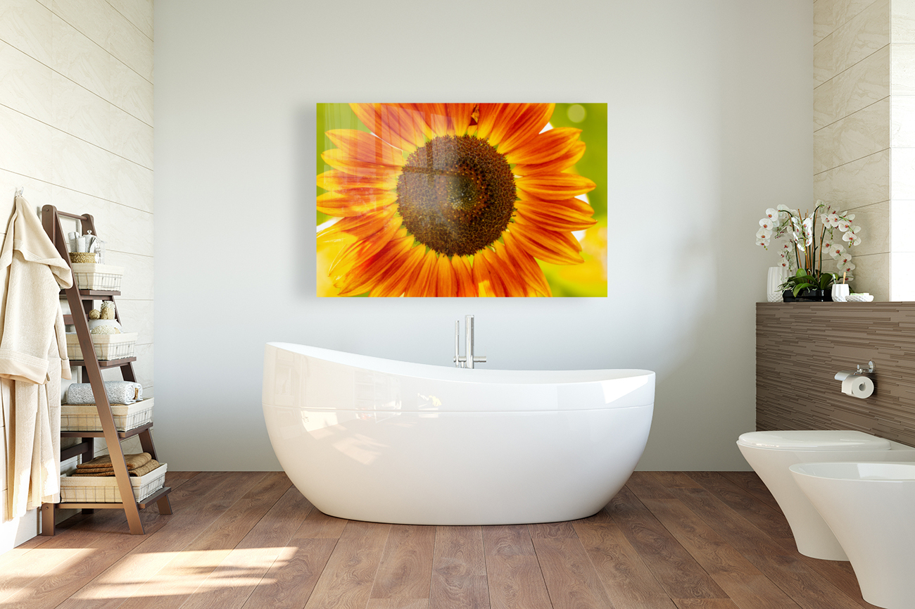 Sunflower Supremacy Reproduction