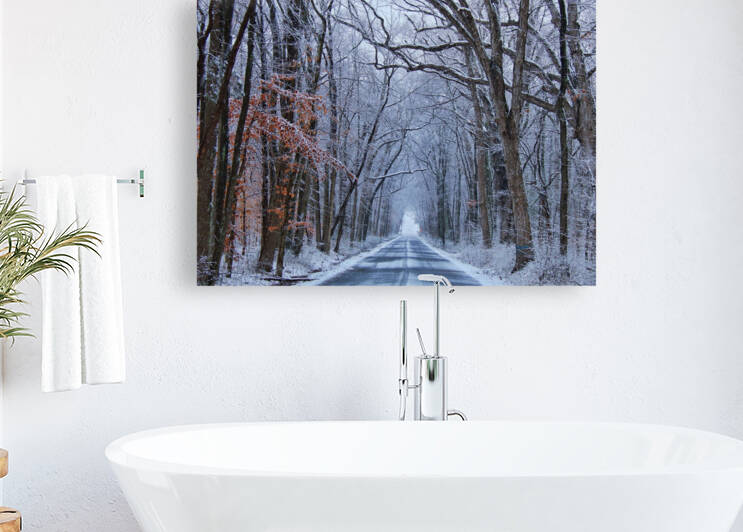 Winter Roads Reproduction
