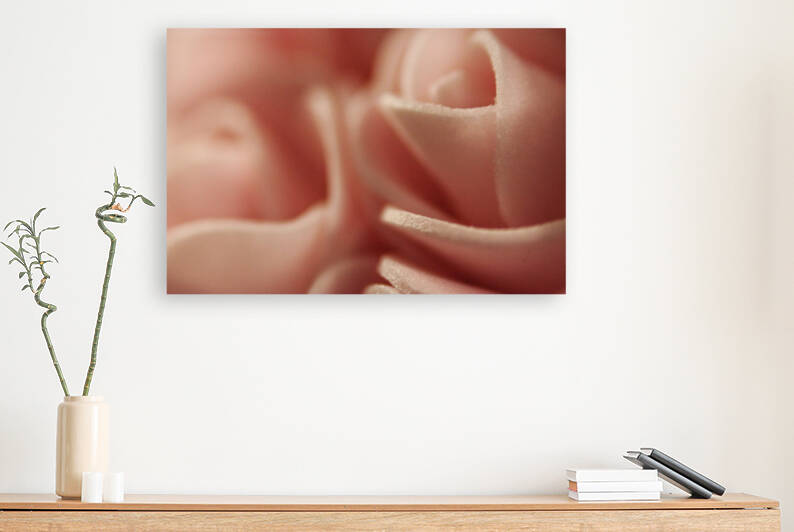 Subtle Elegance Reproduction