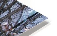 Winter Roads HD Metal print