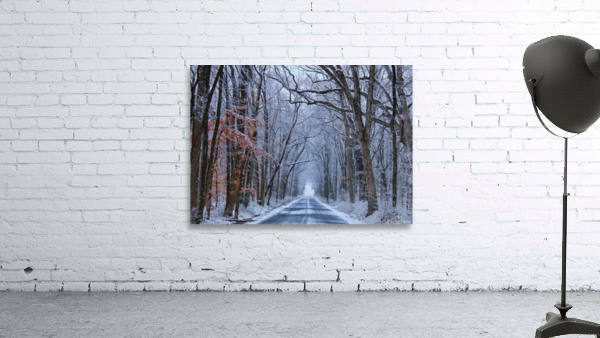 Winter Roads Wall Preview