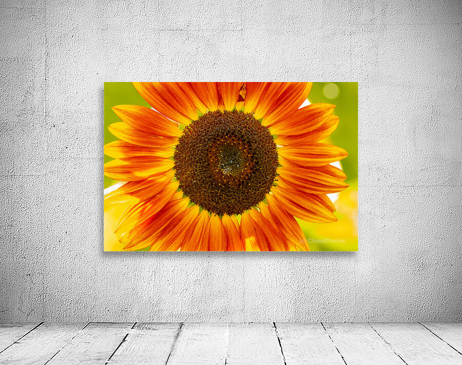 Sunflower Supremacy Wall Preview