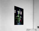 Floral Matte Acrylic Print