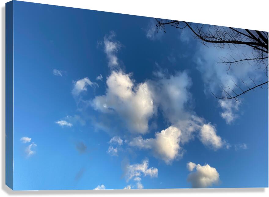 Flow Canvas Print