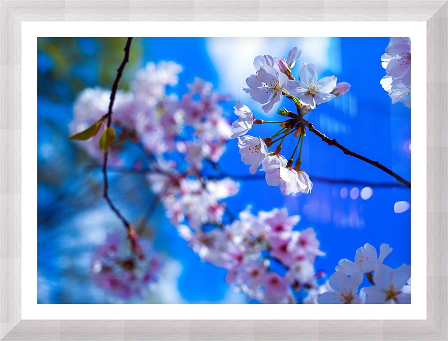 Blossomin Blooms Picture Frame print