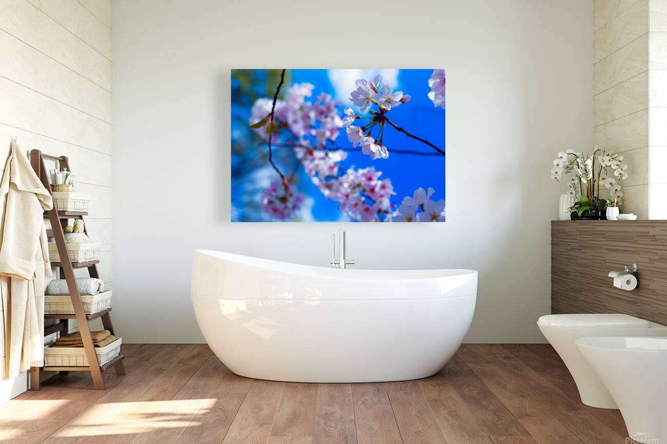 Blossomin Blooms Reproduction