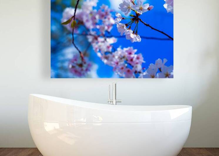 Blossomin Blooms Reproduction