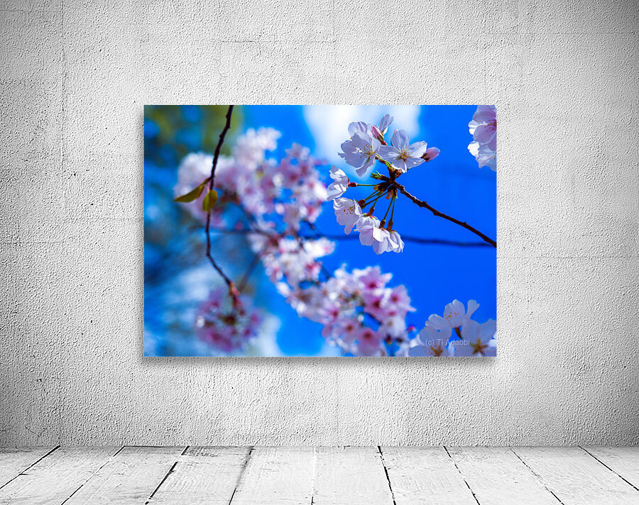 Blossomin Blooms Wall Preview