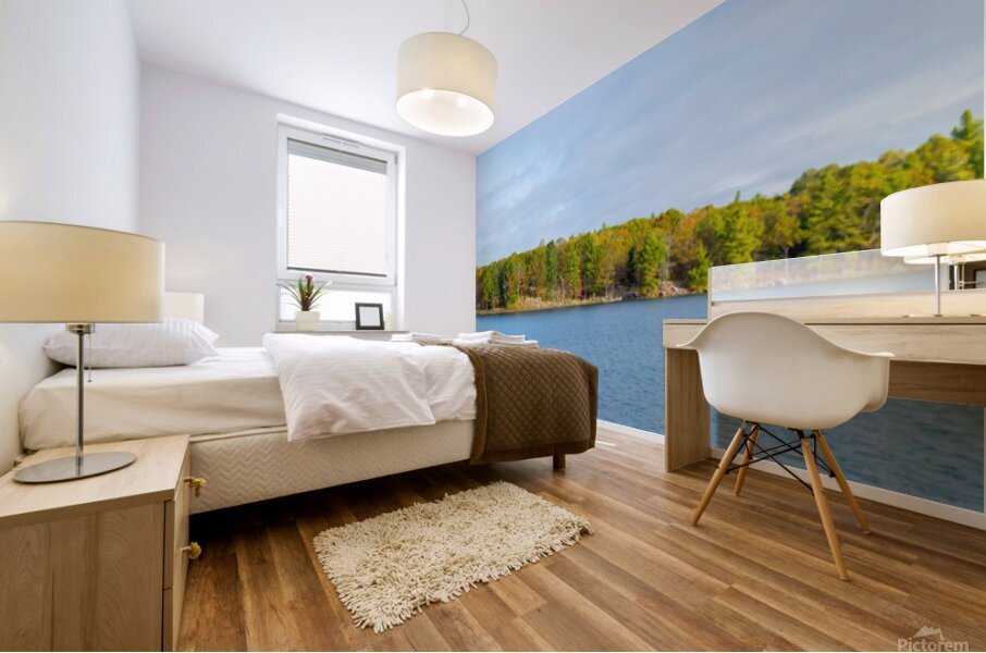 Fall Shoreline Mural print