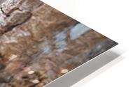 Peckish HD Metal print