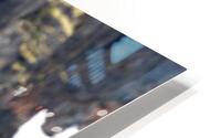 Sunning HD Metal print