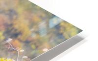 Territory HD Metal print