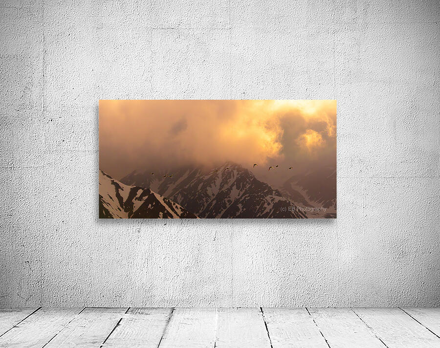 Fire Flight Wall Preview