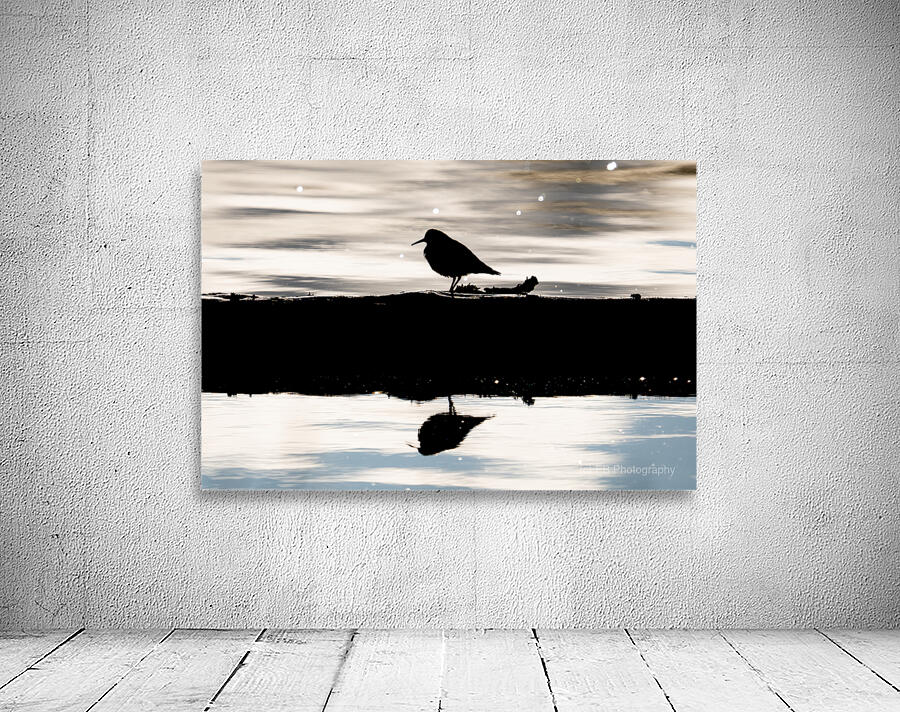 Reflections Wall Preview