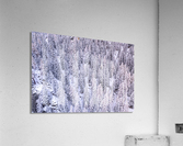Switzerland Winter Landscape 7 Acrylic Print