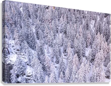 Switzerland Winter Landscape 7 Canvas Print