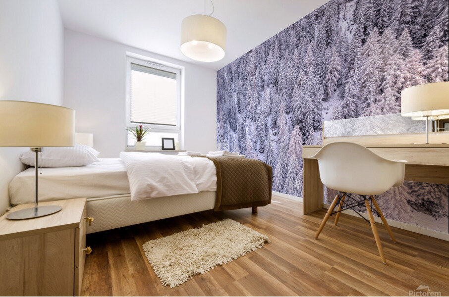 Switzerland Winter Landscape 7 Mural print