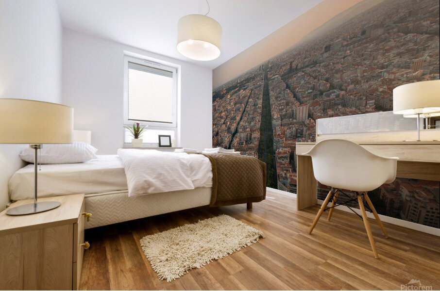 Barcelona City 14 Mural print