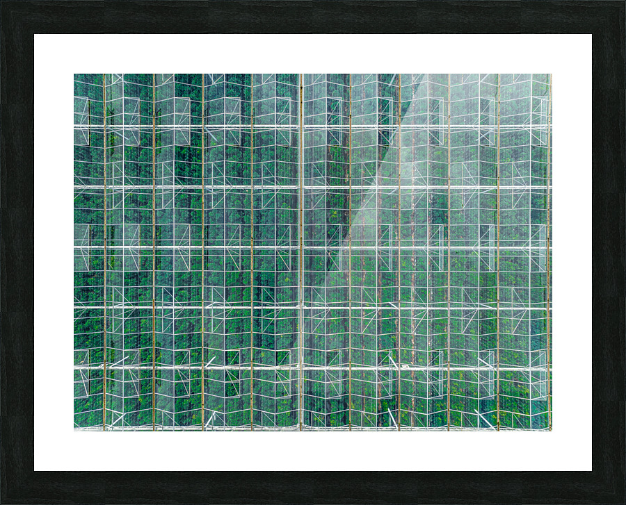 Vegetable Greenhouse Picture Frame print