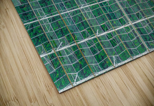 Vegetable Greenhouse cloudvisual puzzle