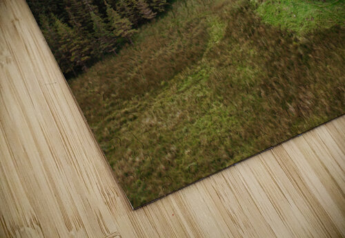 Scottish Landscape 34 cloudvisual puzzle