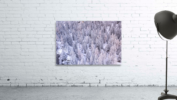 Switzerland Winter Landscape 7 Wall Preview
