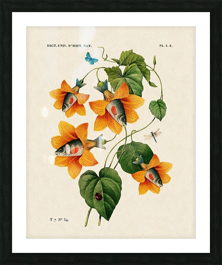  Fine Art print