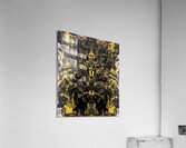 vistuvioua Acrylic Print