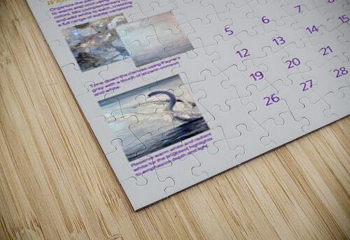 cz mstr july swan Catherine Zanghi puzzle