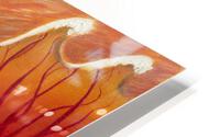 FIery Roots HD Metal print