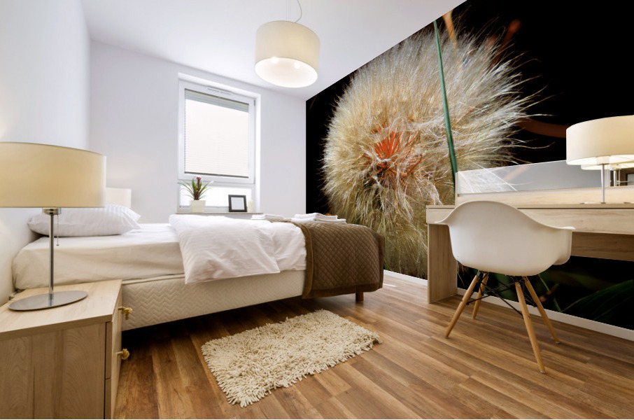 DANDELION STUDY 1 Mural print