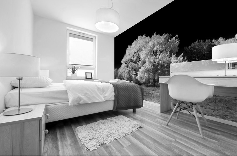 FALL COLORS IN B&W Mural print