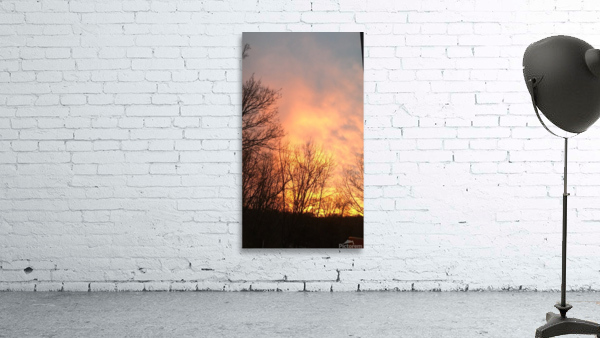 ORANGE SUNSET Wall Preview