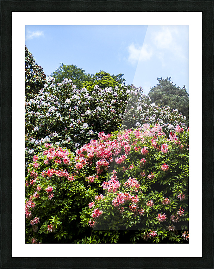 Flower Trees Picture Frame print