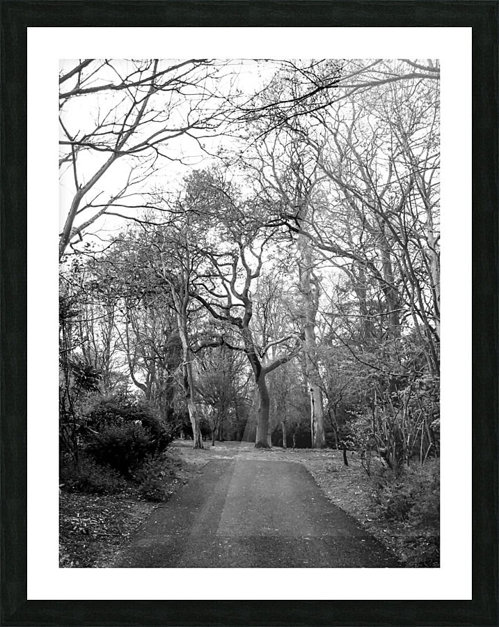 Dead Garden Picture Frame print