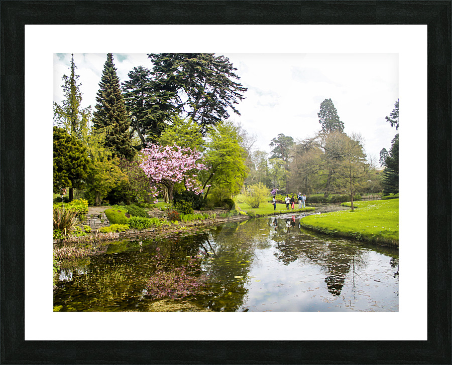 Botanic Garden III Picture Frame print