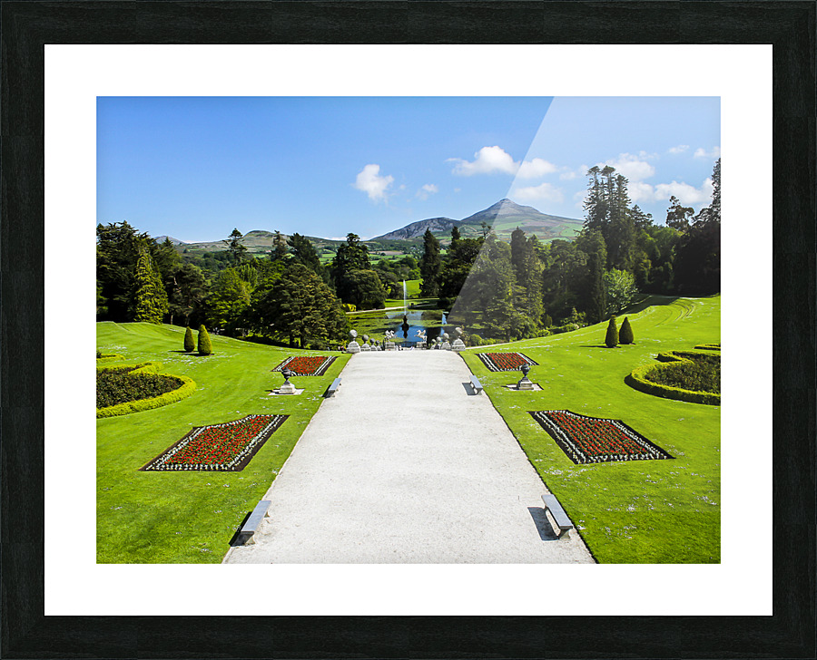 Garden II Picture Frame print