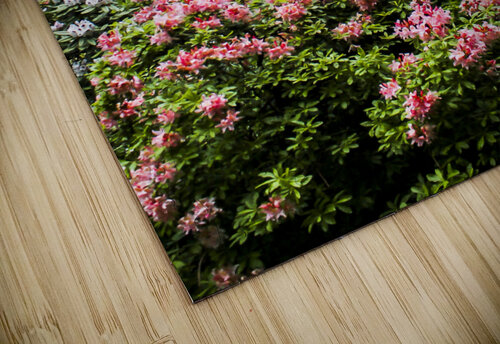 Flower Trees Andre Luis Leme puzzle
