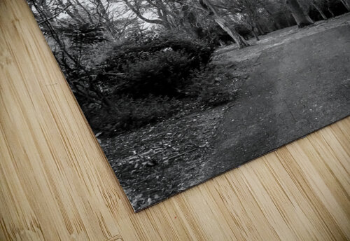 Dead Garden Andre Luis Leme puzzle