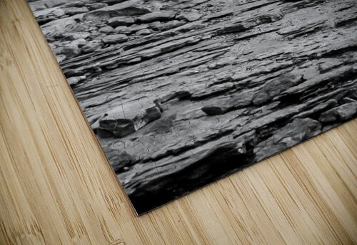 Over Rocks Andre Luis Leme puzzle