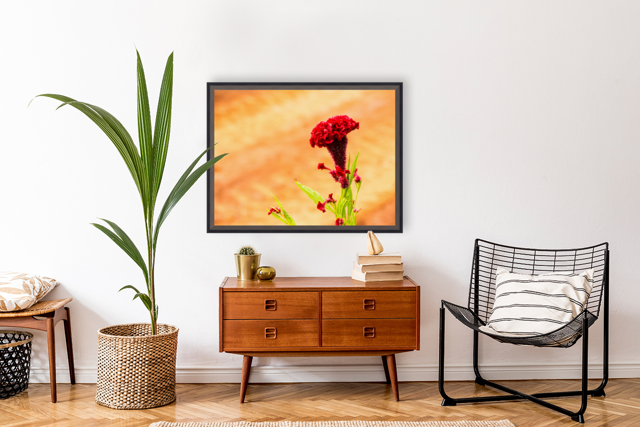 Red Flower Reproduction