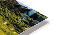 Flowery Field HD Metal print