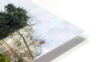 Botanic Garden II HD Metal print