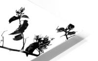 Tree Branch II HD Metal print