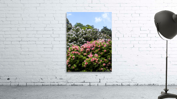 Flower Trees Wall Preview